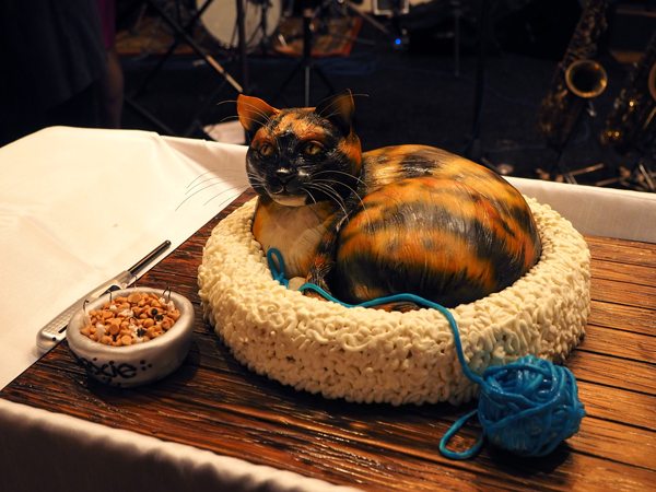 Rexie the cat as a 3D birthday cake.