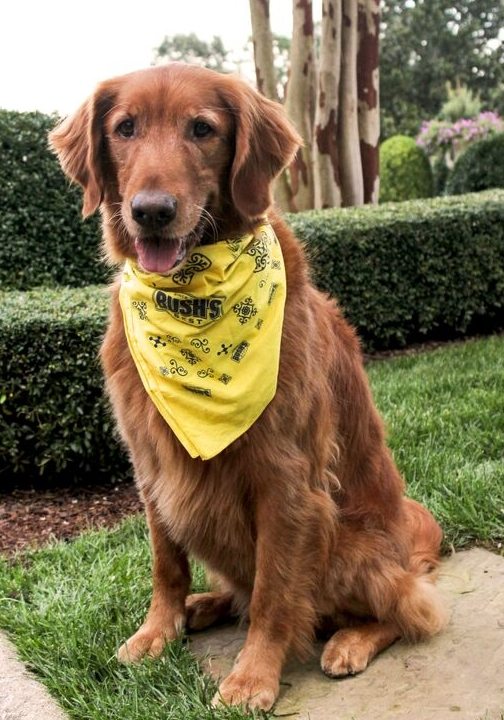 Duke, spokesdog for Bush's Beans, was a great addition to the event.
