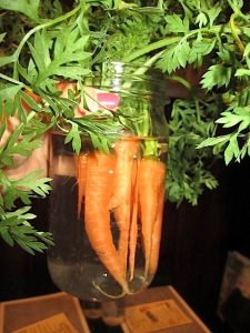 A carrot centerpiece at a "Raise the Roots" event. 
