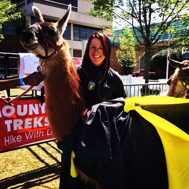 Erin Donovan at the Great Llama Race at World's Fair Park. (Blue Streak photo)